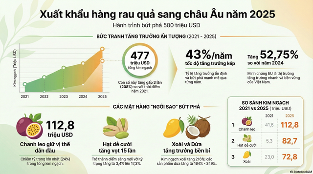 'Tin vui 500 triệu USD' từ ch&acirc;u &Acirc;u vừa b&aacute;o về - Ảnh 2.