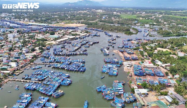 Nạo v&eacute;t khẩn cấp cảng c&aacute; Tam Quan Gia Lai sau cơn lũ lịch sử năm 2025 - Ảnh 2.