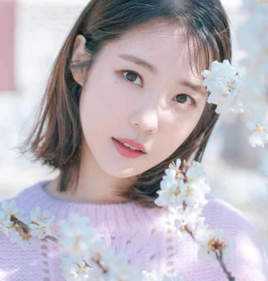 - Ảnh 5. - Ảnh 5.