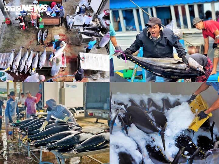 Nạo v&eacute;t khẩn cấp cảng c&aacute; Tam Quan Gia Lai sau cơn lũ lịch sử năm 2025 - Ảnh 10.