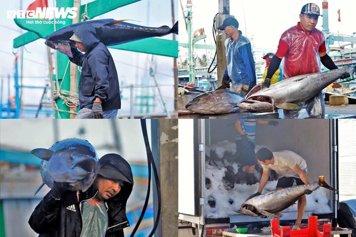 Nạo v&eacute;t khẩn cấp cảng c&aacute; Tam Quan Gia Lai sau cơn lũ lịch sử năm 2025 - Ảnh 11.