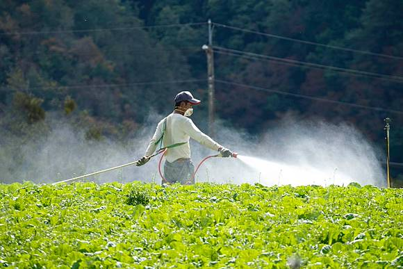 B&aacute;c sĩ chuy&ecirc;n khoa ung thư cảnh b&aacute;o 5 vật dụng "cho th&ecirc;m tiền" cũng ĐỪNG để trong nh&agrave; - Ảnh 2.