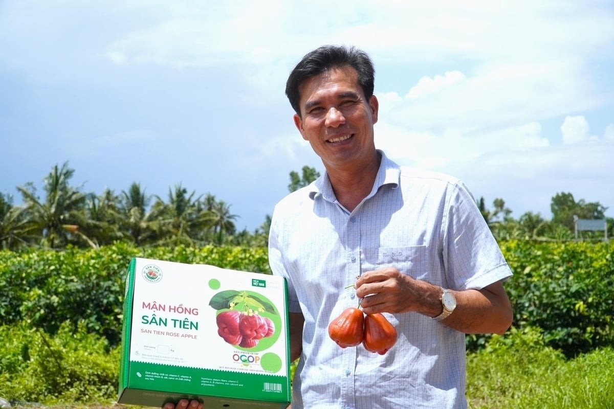 Đắt hơn sầu ri&ecirc;ng, loại quả 230.000đ/kg gi&uacute;p anh n&ocirc;ng d&acirc;n miền T&acirc;y l&atilde;i 2 tỷ/ha bất chấp nước mặn - Ảnh 1.