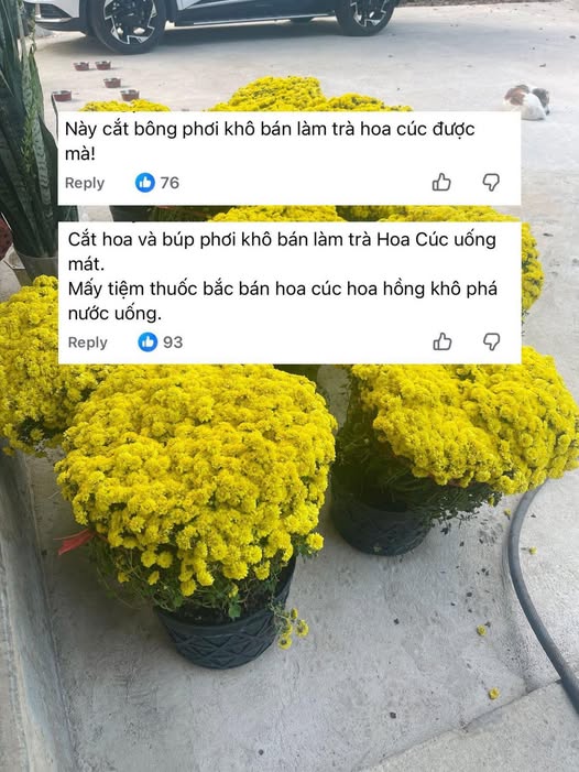 Chớ dại m&agrave; tận dụng những thứ n&agrave;y sau Tết kẻo ngộ độc, rước họa v&agrave;o th&acirc;n - Ảnh 2.