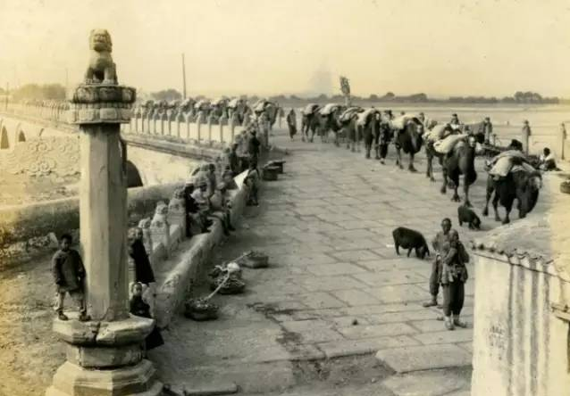 13 bức ảnh hiếm về Tết đầu thời nhà Thanh: Khung cảnh thật khiến nhiều người nghi ngờ phim truyền hình - Ảnh 5.