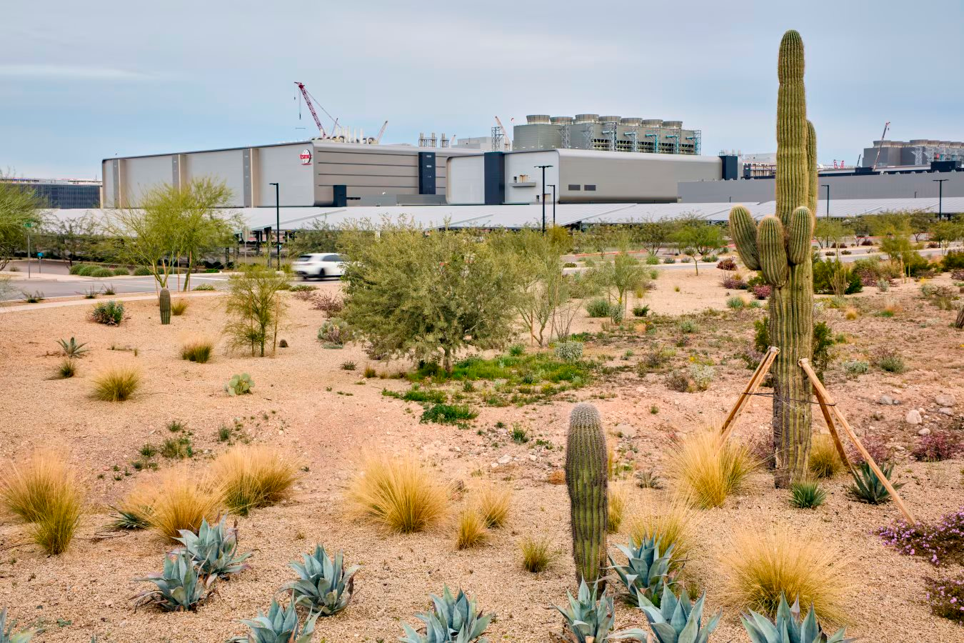 Apple đầu tư v&agrave;o Mỹ 600 tỷ USD để đa dạng h&oacute;a chuỗi cung ứng v&agrave; sản xuất chip - Ảnh 2.