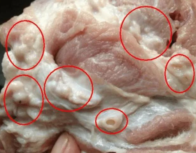 3 phần thịt lợn bị cảnh b&aacute;o &ldquo;tiềm ẩn rủi ro&rdquo;, b&aacute;c sĩ nhắc n&ecirc;n hạn chế ăn nếu kh&ocirc;ng muốn rước họa v&agrave;o th&acirc;n - Ảnh 1.