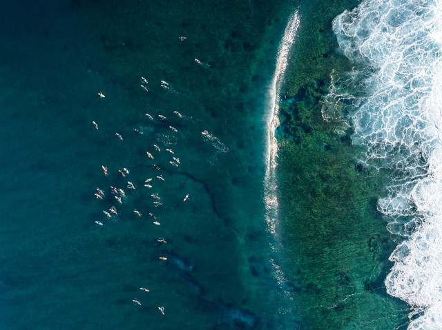 Chuyện g&igrave; đang xảy ra ở Hawaii? - Ảnh 1.