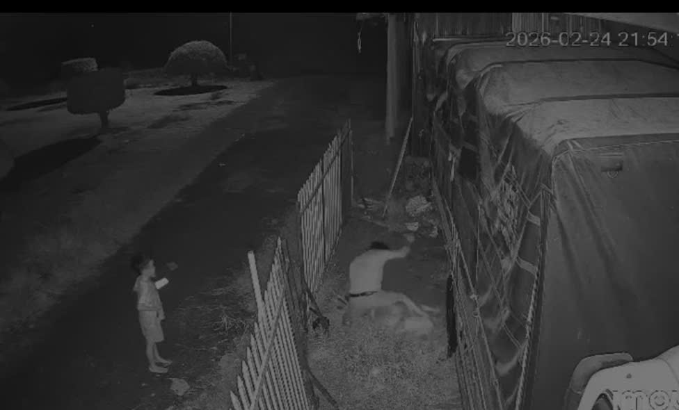 Đồng Th&aacute;p: Vụ chồng đ&acirc;m vợ trước mặt con nhỏ g&acirc;y phẫn nộ x&atilde; hội - Ảnh 1.