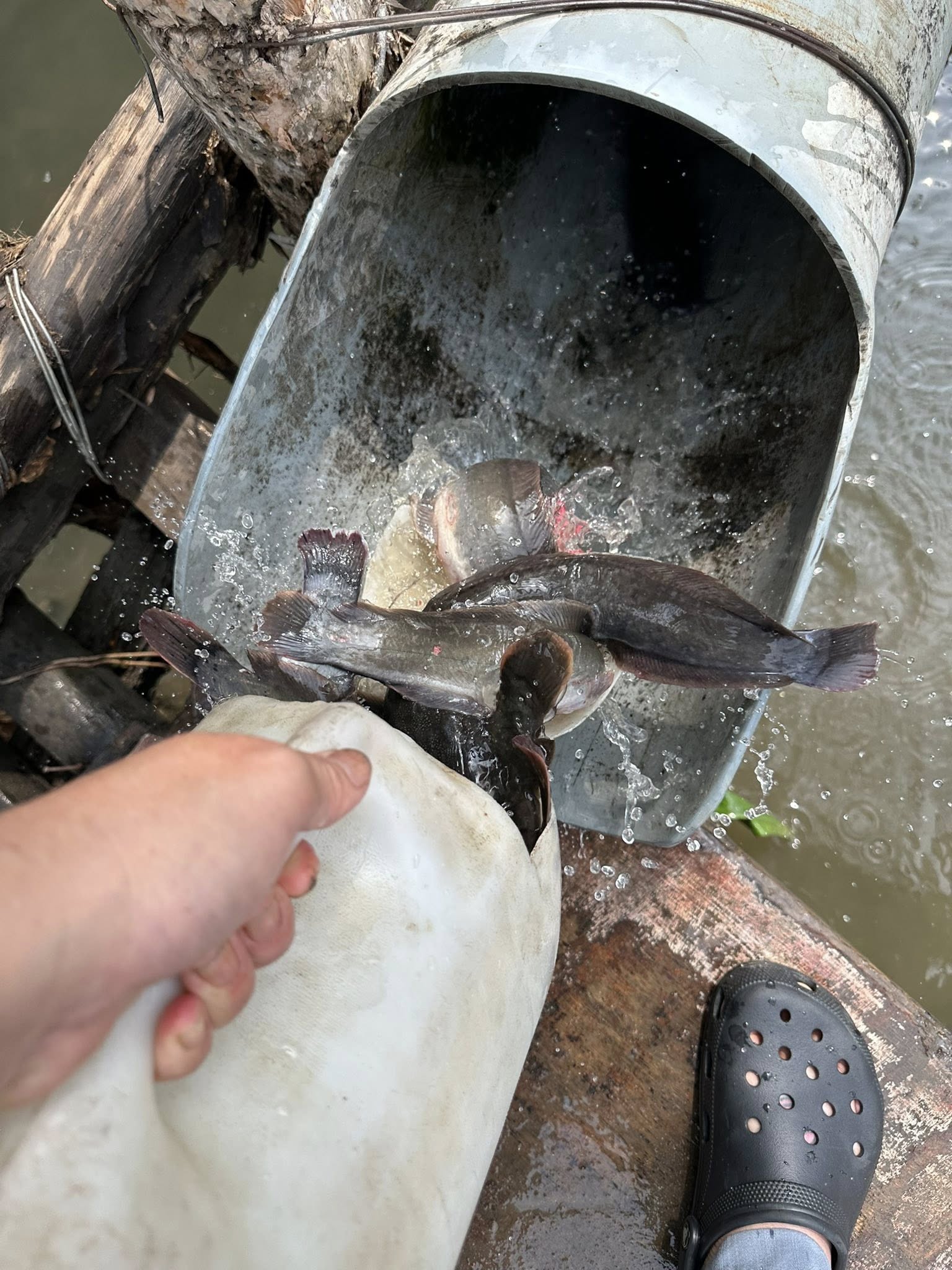 Nam MC đ&igrave;nh đ&aacute;m n&oacute;i thẳng một điều về ng&agrave;y v&iacute;a Thần T&agrave;i: "Chẳng phải để khoe m&agrave; l&agrave; để x&uacute;i" - Ảnh 4.