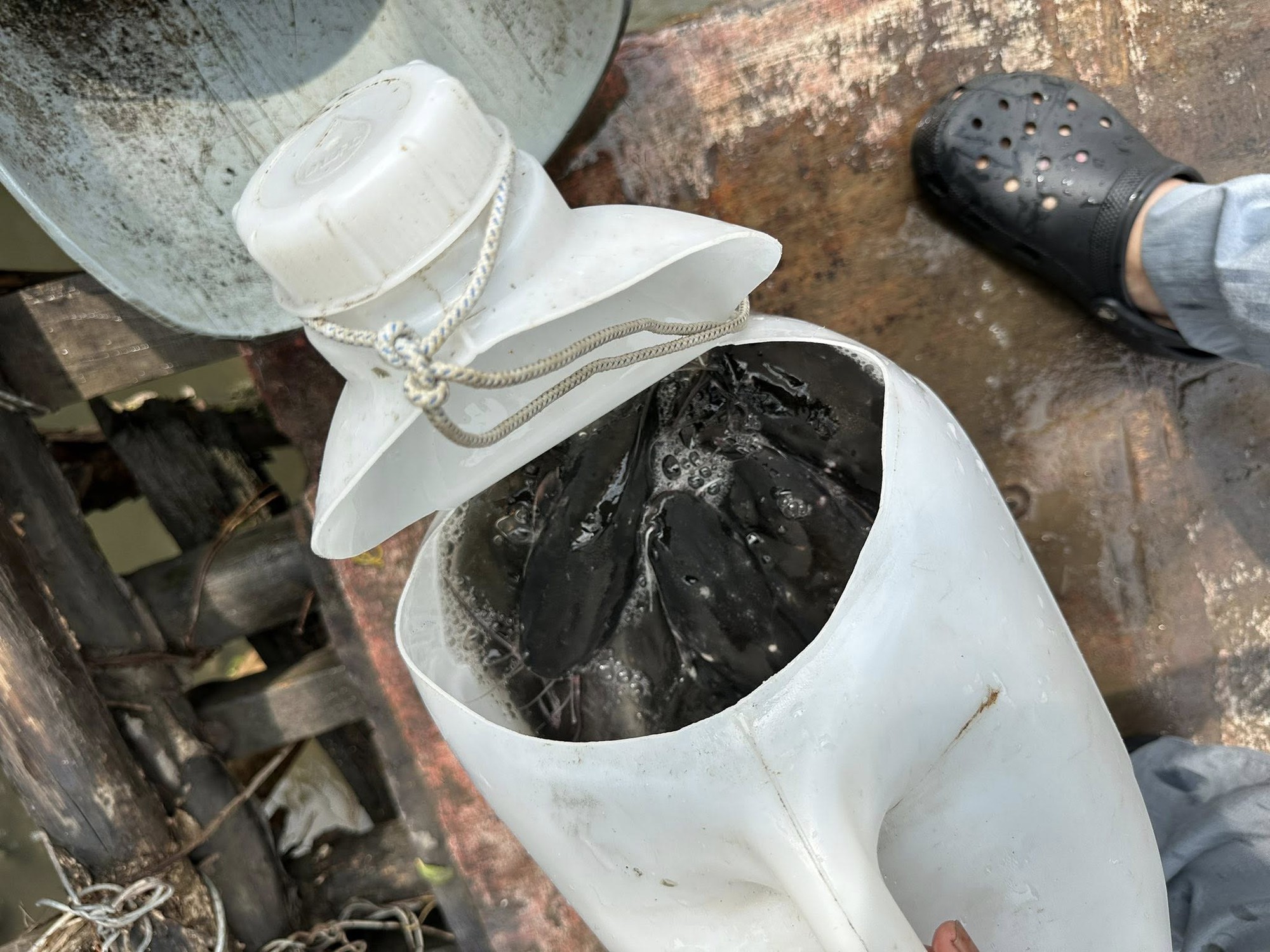 Nam MC đ&igrave;nh đ&aacute;m n&oacute;i thẳng một điều về ng&agrave;y v&iacute;a Thần T&agrave;i: "Chẳng phải để khoe m&agrave; l&agrave; để x&uacute;i" - Ảnh 5.