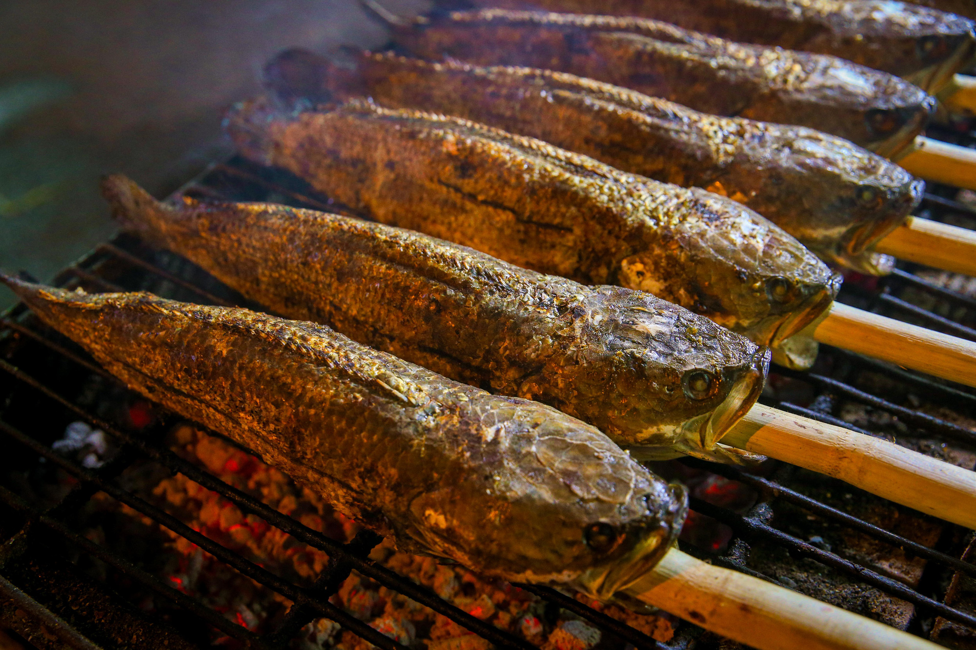 Loại c&aacute; thường c&oacute; tr&ecirc;n m&acirc;m c&uacute;ng ng&agrave;y v&iacute;a Thần T&agrave;i: Được v&iacute; bổ như s&acirc;m, l&agrave; &ldquo;thuốc&rdquo; dưỡng thận - Ảnh 1.