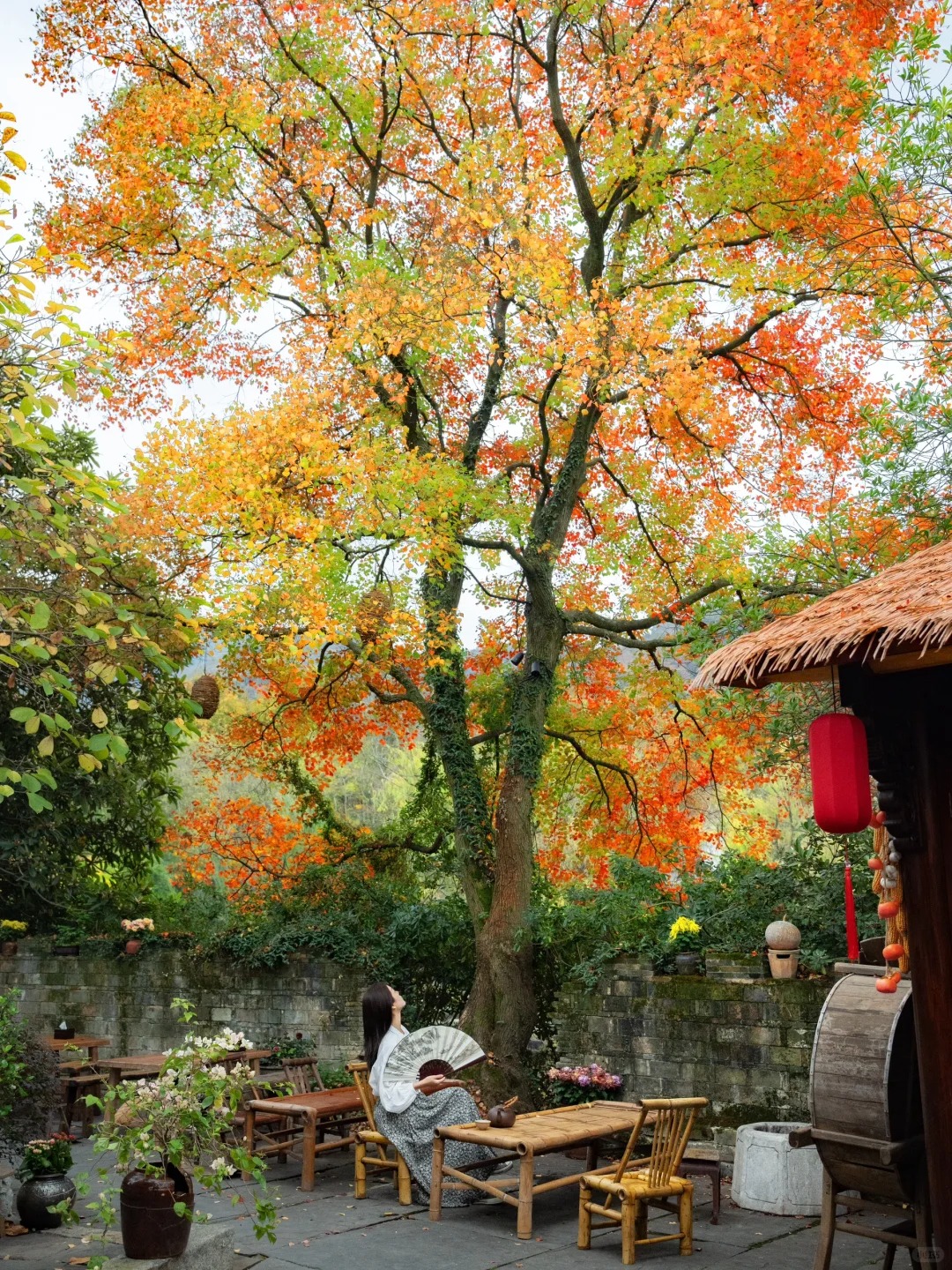 D&ugrave; gi&agrave;u hay ngh&egrave;o, trước khi trồng c&acirc;y trong s&acirc;n h&atilde;y nhớ 3 điều n&ecirc;n l&agrave;m - 4 điều tuyệt đối tr&aacute;nh để khỏi &ldquo;rước&rdquo; rắc rối về nh&agrave;- Ảnh 1.