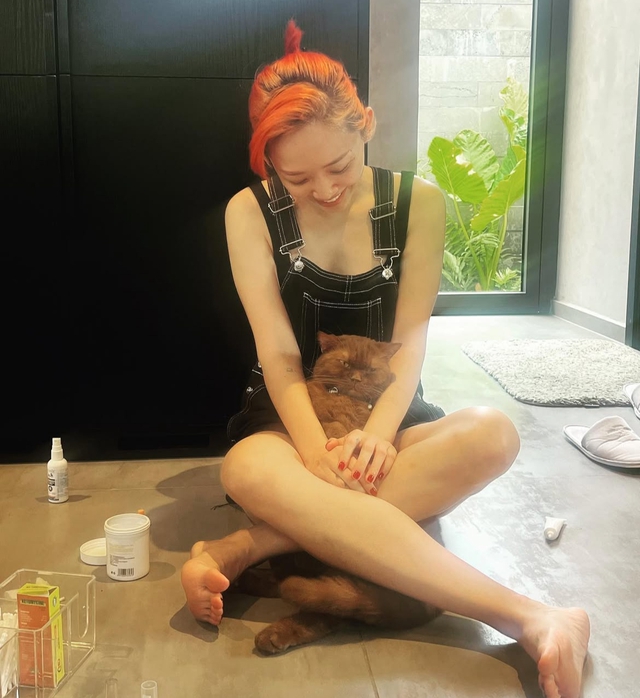 Điều kh&oacute; ph&acirc;n chia của T&oacute;c Ti&ecirc;n v&agrave; Touliver sau ly h&ocirc;n  - Ảnh 3.