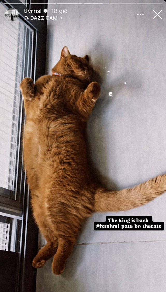 Điều kh&oacute; ph&acirc;n chia của T&oacute;c Ti&ecirc;n v&agrave; Touliver sau ly h&ocirc;n  - Ảnh 1.