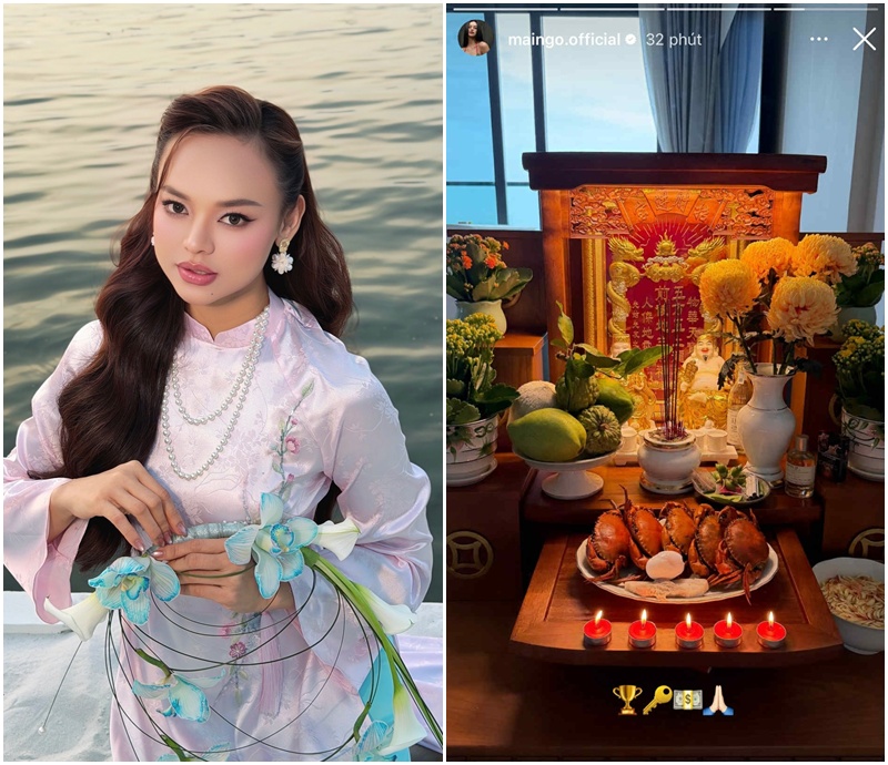 Người nổi tiếng, hot girl ở Việt Nam l&agrave;m g&igrave; m&agrave; GI&Agrave;U thế n&agrave;y?- Ảnh 3.