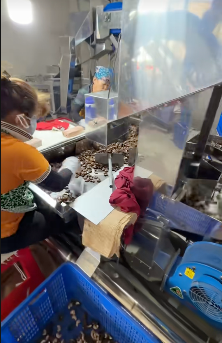 C&ocirc; d&acirc;u T&acirc;y Ninh lấy chồng Campuchia h&eacute; lộ &ldquo;số phận&rdquo; khoản tiền cưới bạc tỷ v&agrave; "cơ ngơi hồi m&ocirc;n" triệu đ&ocirc; được bố mẹ tặng khi lấy chồng - Ảnh 4.