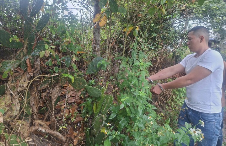 Bắt giữ kẻ cướp v&agrave;ng Đ&agrave; Nẵng sau 2 giờ g&acirc;y &aacute;n tại x&atilde; Thăng an - Ảnh 1.