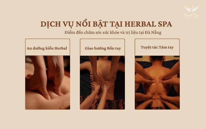 Đi t&igrave;m &ldquo;khoảng lặng&rdquo; giữa l&ograve;ng Đ&agrave; Nẵng: Trải nghiệm kh&ocirc;ng gian thảo mộc đang được du kh&aacute;ch quốc tế ch&uacute; &yacute; - Ảnh 1.