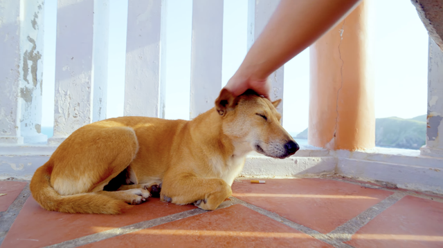 Bị b&oacute;c phốt th&aacute;i độ chảnh chọe nhưng 