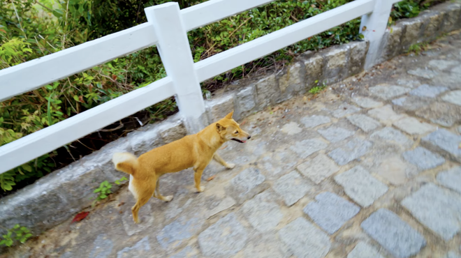 Bị b&oacute;c phốt th&aacute;i độ chảnh chọe nhưng 