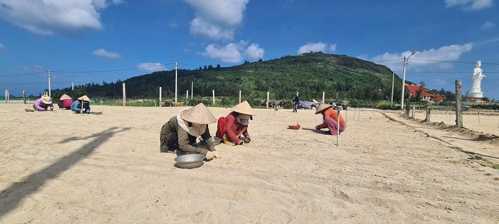 - Ảnh 1. - Ảnh 1.