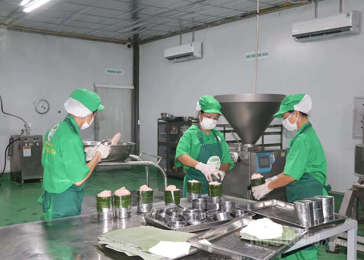 Gi&aacute;m đốc ở Tuy&ecirc;n Quang cho một thứ đặc biệt v&agrave;o thức ăn nu&ocirc;i heo, gi&uacute;p HTX lọt top 10 doanh thu chăn nu&ocirc;i cả nước - Ảnh 3.