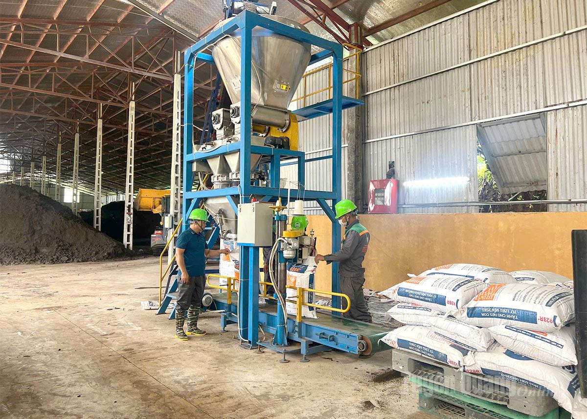 Gi&aacute;m đốc ở Tuy&ecirc;n Quang cho một thứ đặc biệt v&agrave;o thức ăn nu&ocirc;i heo, gi&uacute;p HTX lọt top 10 doanh thu chăn nu&ocirc;i cả nước - Ảnh 4.