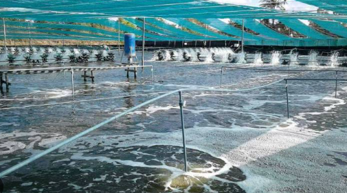 Việt Nam vừa đ&oacute;n tin cực vui từ Mỹ v&agrave; Trung Quốc - Ảnh 1.