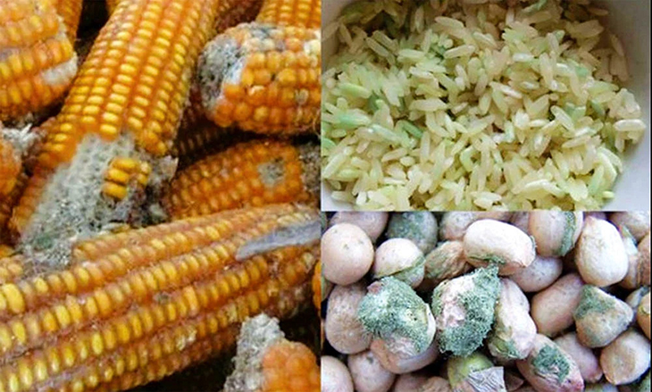 Ngày càng nhiều người còn trẻ đã khổ sở vì bệnh gan, bác sĩ nói thẳng: 4 loại hạt này ăn nhiều "phá gan" hơn bia rượu- Ảnh 2.