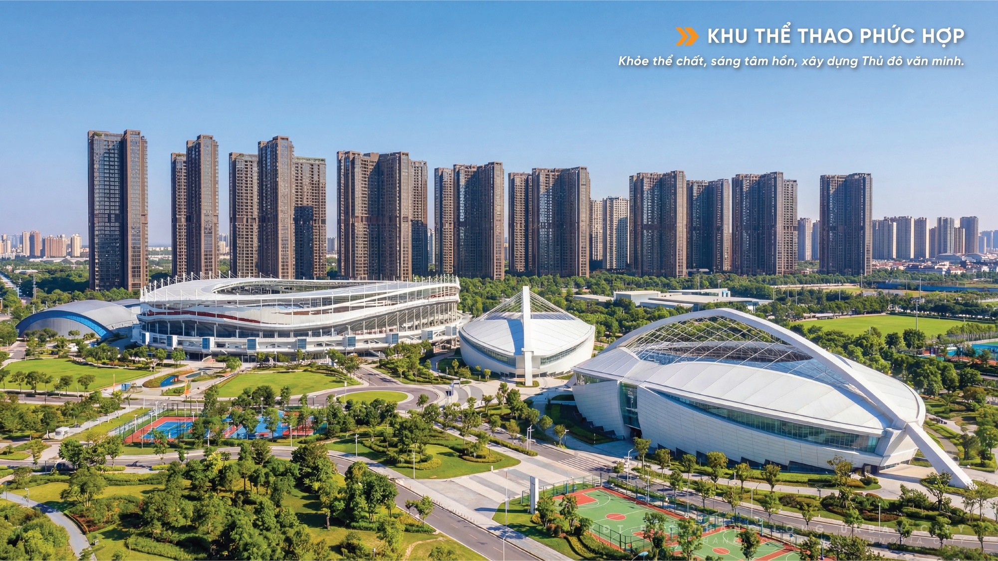 - Ảnh 7. - Ảnh 7.