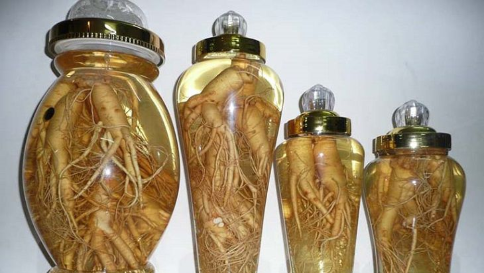 1 lưu ý quan trọng bất cứ ai uống rượu đinh lăng đều phải biết - Ảnh 2.