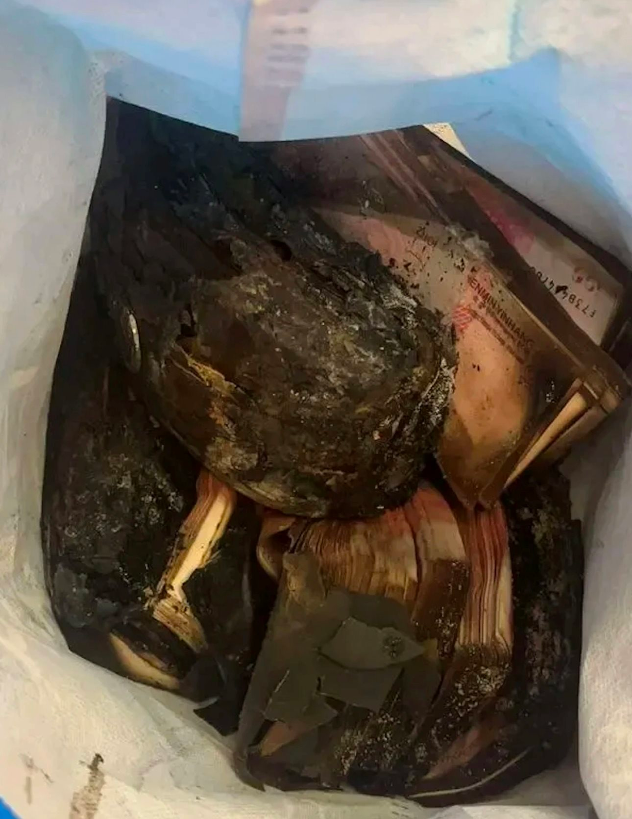 Gần 1,5 tỷ đồng tiền mặt bị cháy nghiêm trọng, cụ ông mang đến ngân hàng để đổi tiền mới: Bất ngờ với con số nhận lại - Ảnh 2.