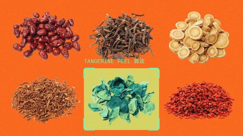 Công nghệ Trung Quốc biến Đông y thành xu hướng mới với trí tuệ nhân tạo năm 2026 - Ảnh 1.