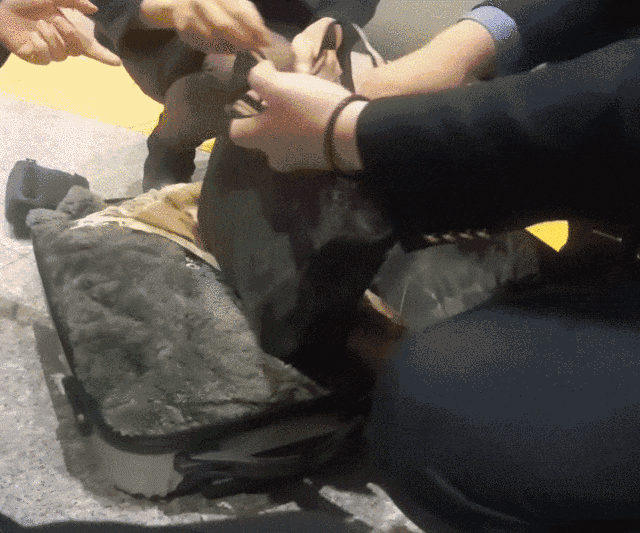 Phát hiện vali chứa 18 cọc tiền mặt gần 700 triệu đồng bị bỏ quên trên tàu- Ảnh 1.