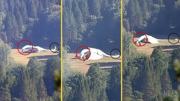 Thực hư video rồng trắng ở Trung Quốc: Sự thật đằng sau tr&iacute; tuệ nh&acirc;n tạo - Ảnh 2.