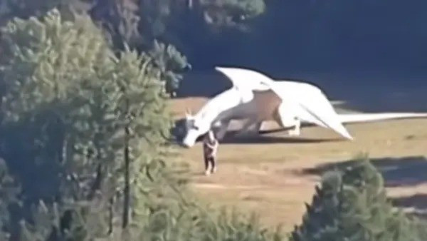 Thực hư video rồng trắng ở Trung Quốc: Sự thật đằng sau tr&iacute; tuệ nh&acirc;n tạo - Ảnh 1.