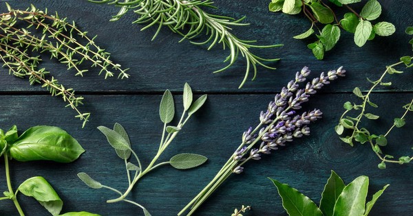 5 loại hoa n&ecirc;n d&ugrave;ng để c&uacute;ng &ocirc;ng C&ocirc;ng &ocirc;ng T&aacute;o - Ảnh 3.