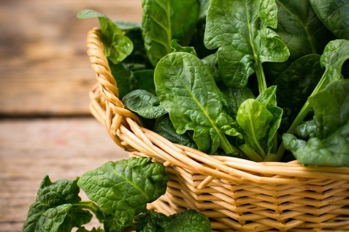 Vì sao rau bina được gọi là “rau trường thọ”? Lợi đủ đường cho ruột, mắt và tim mạch- Ảnh 1.