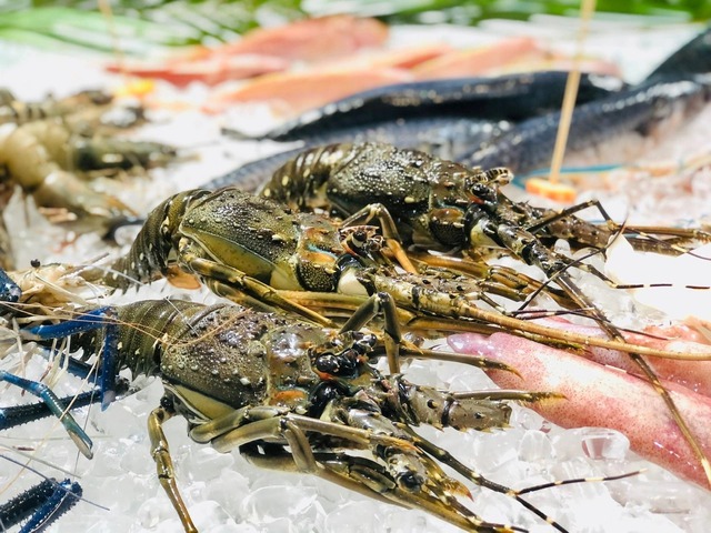 Một ngành hàng của Việt Nam được cả thế giới săn đón - xuất khẩu đạt 874 triệu USD tháng đầu năm, tăng trưởng 13% - Ảnh 2.