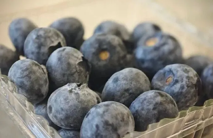 5 loại viêm tưởng nhẹ  thực chất là “chuông báo ung thư”: càng dập sớm, rủi ro càng thấp- Ảnh 2.