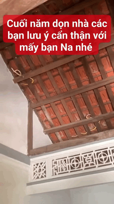 Dọn nhà đón Tết, gia chủ "lạnh sống lưng" khi nhìn thấy cảnh tượng trên mái nhà: Có thể là ám ảnh tới già - Ảnh 1.