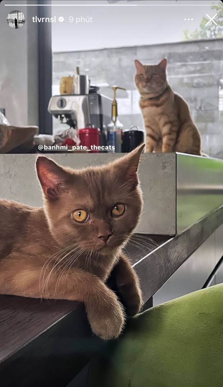 Tóc Tiên trở về biệt thự chung với Touliver  - Ảnh 3.