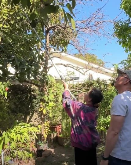 Nữ danh ca nổi tiếng sau cơn đột quỵ, cuộc sống bị "kiểm soát" 24/24 - Ảnh 3.