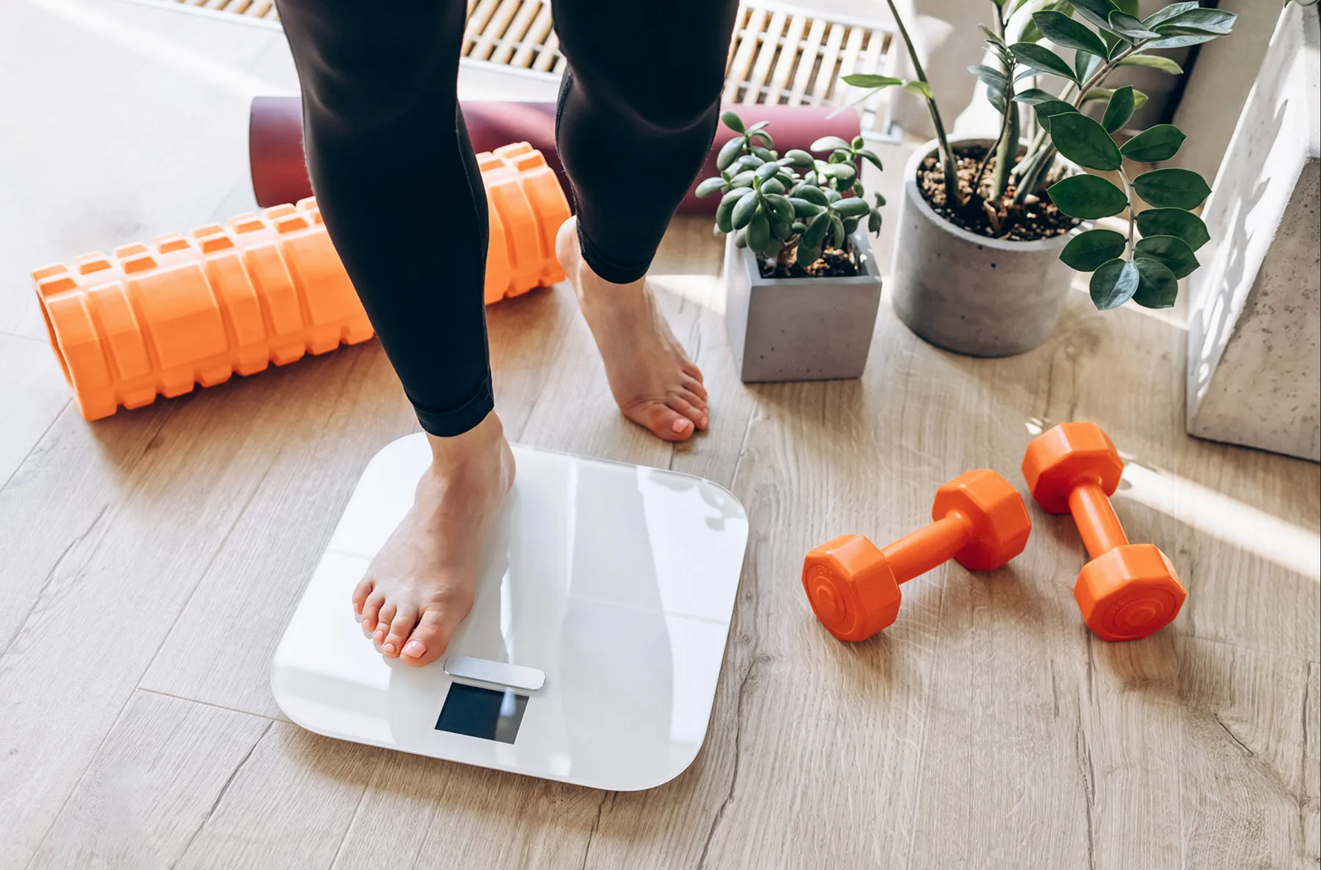 Đột quỵ rất "sợ" 7 điều này: Đại học Y Harvard chỉ cách có được tất cả - Ảnh 2.