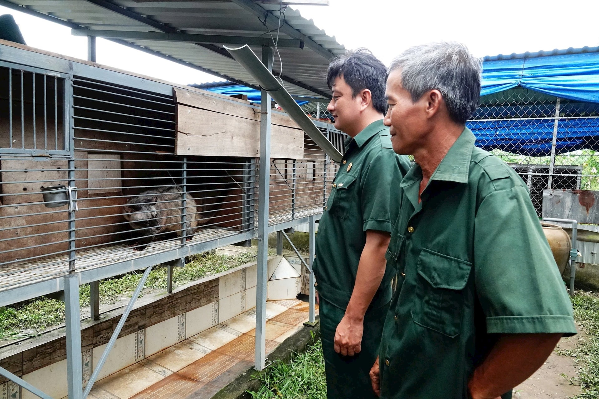 Vay 50 triệu nuôi 100 con vật hoang, tiền ăn 3.000 đồng/con/ngày, cựu chiến binh lãi đậm - Ảnh 1.