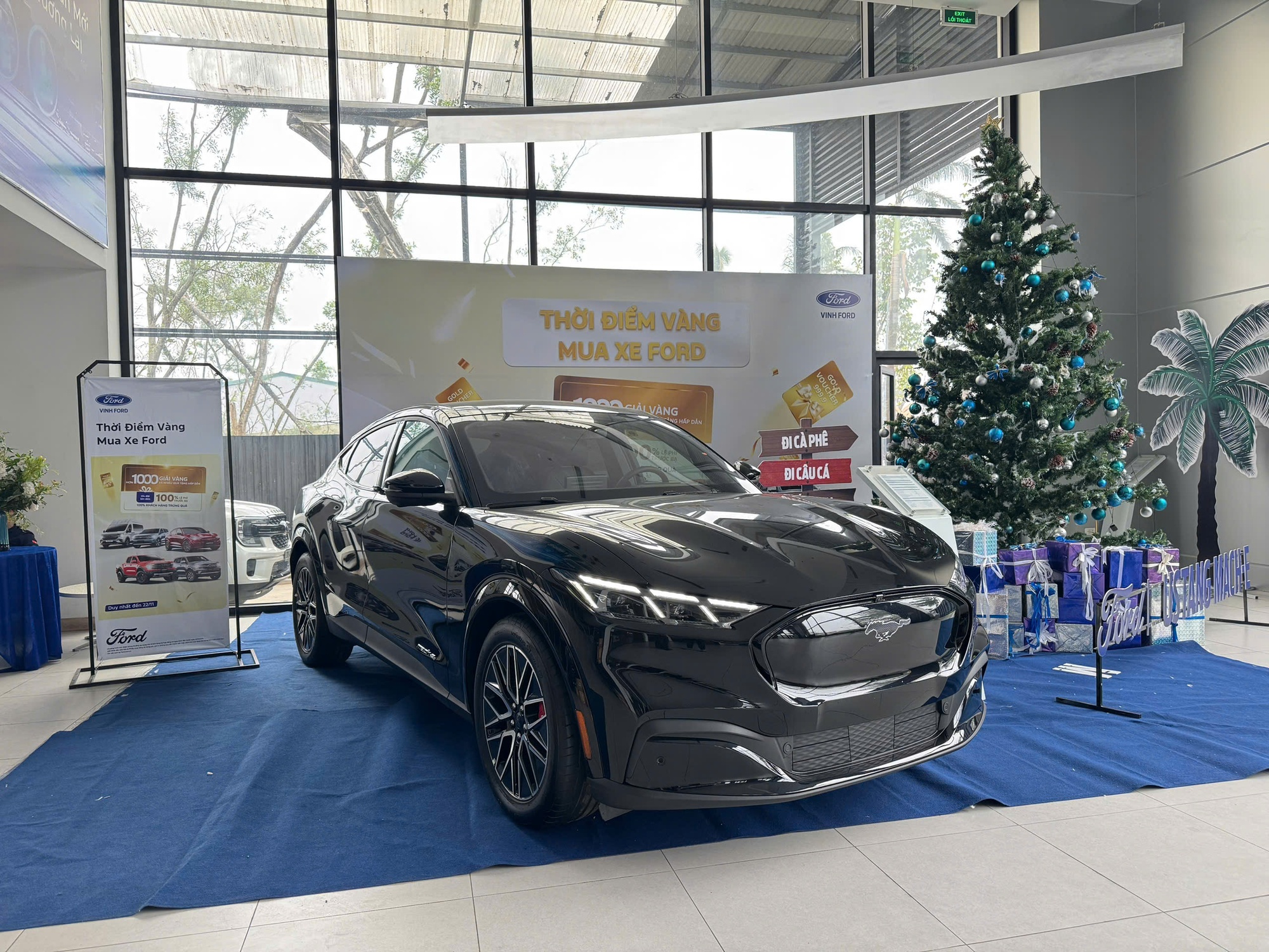 Ít sản phẩm nhưng đánh trúng nhu cầu: Cách Ford chuẩn bị cho cuộc chơi dài hạn tại Việt Nam- Ảnh 8.