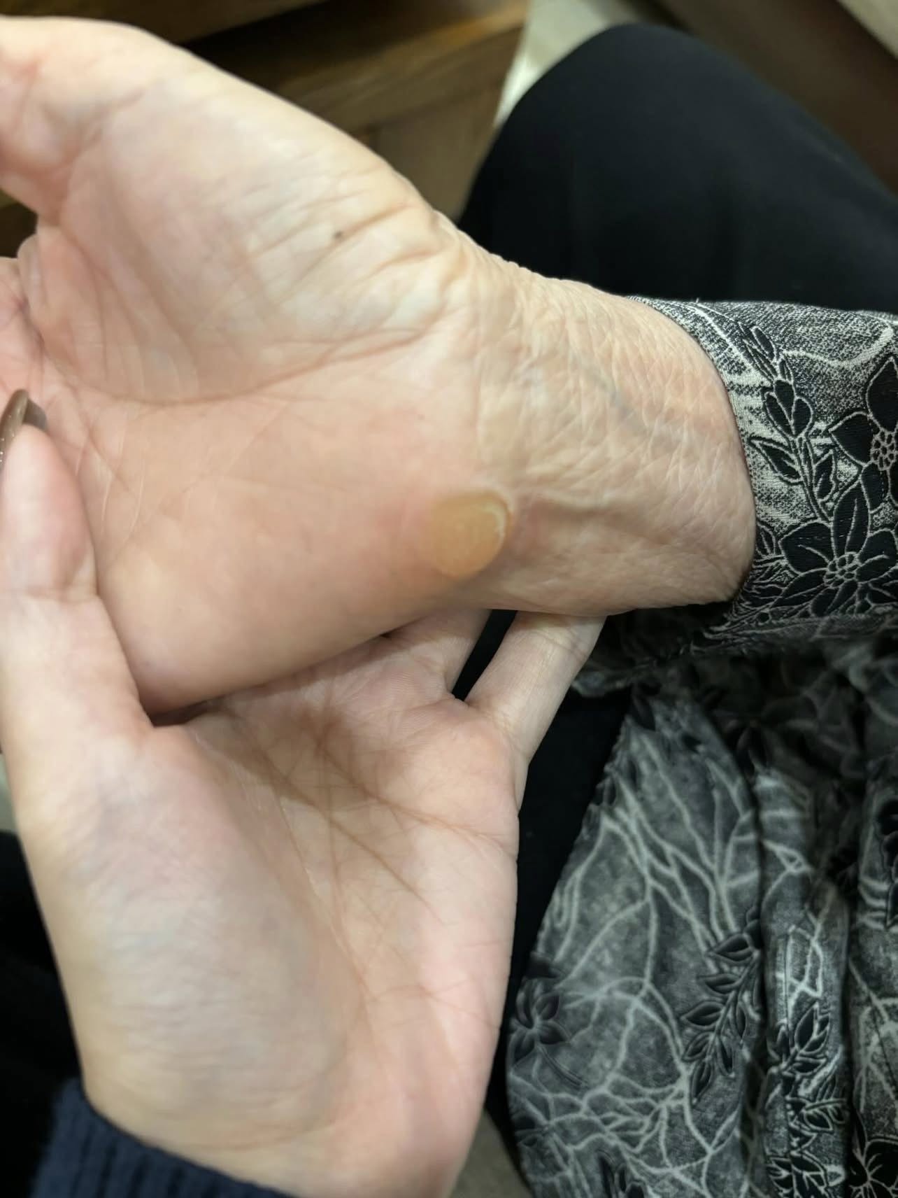 6250600701226803636211731536533975500584073N 1770524314676 1770524315216803094019