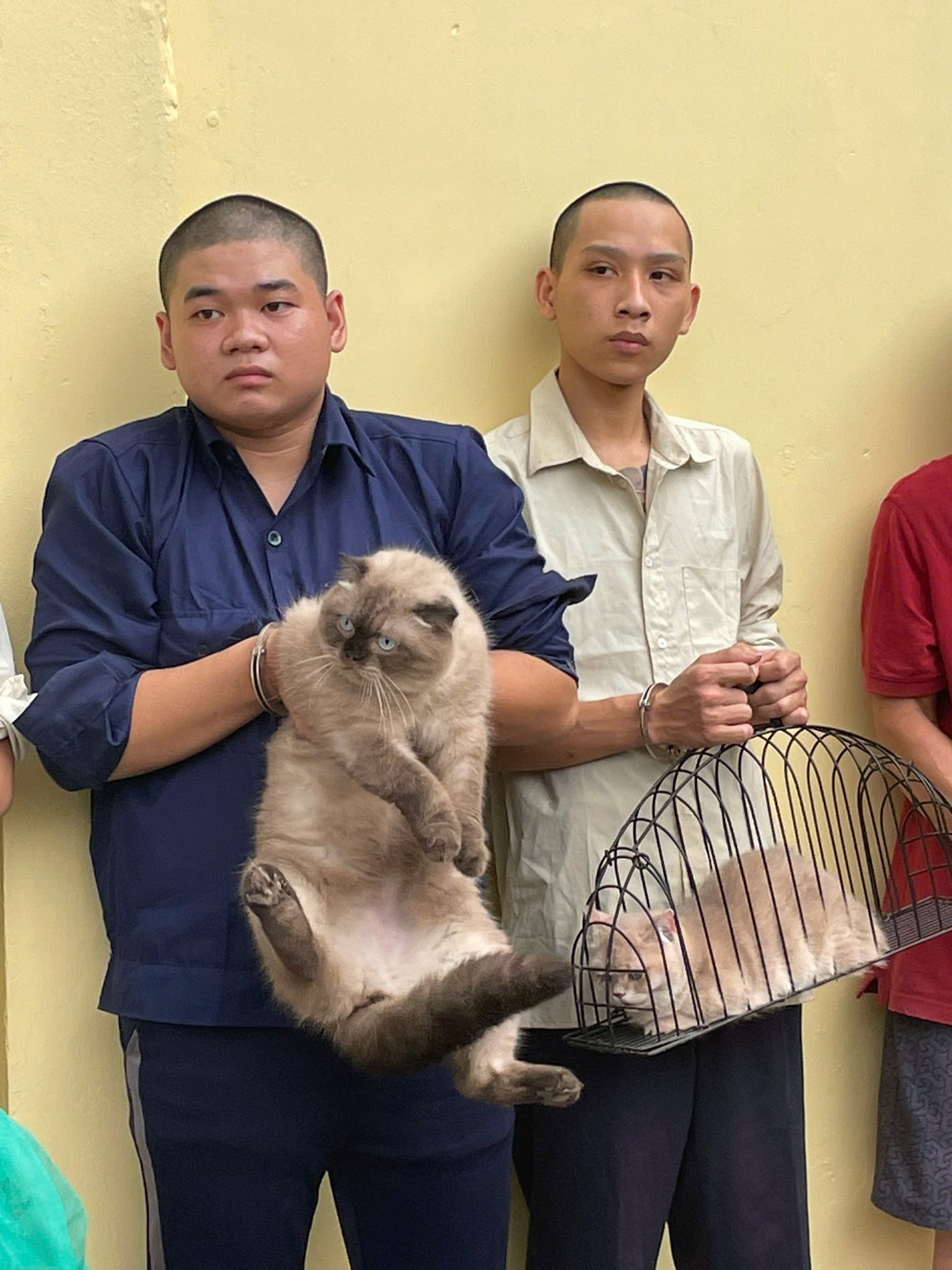 Công an TP.HCM bắt nhiều người sau khi kiểm tra một căn nhà - Ảnh 4.