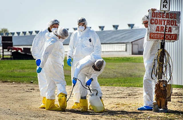 Sau Nipha, c&aacute;c chuy&ecirc;n gia lo ngại 2 loại virus đột biến mới c&oacute; 'tiềm năng g&acirc;y đại dịch', l&acirc;y từ động vật sang người - Ảnh 3.